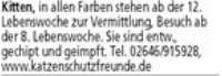 Anzeige