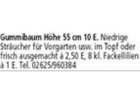 versch. Schalplatten zu verkaufen, pro Stück 2< Tel.: 02602 3583