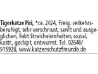 Kitten, in allen Farben stehen ab der 12.  Lebenswoche zur Vermittlung, Besuch ab der 8. Lebenswoch