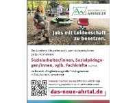 Sozialarbeiter/innen, Sozialpädagogen/innen 