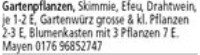 Anzeige