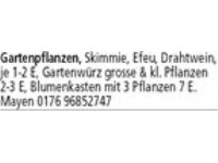 Damen Strickjacke, grau, Gr. 46, neuw., 7 E. Tel. 02631-47767