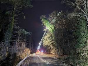 Sturm in Sinzig: Baum drohte umzustürzen