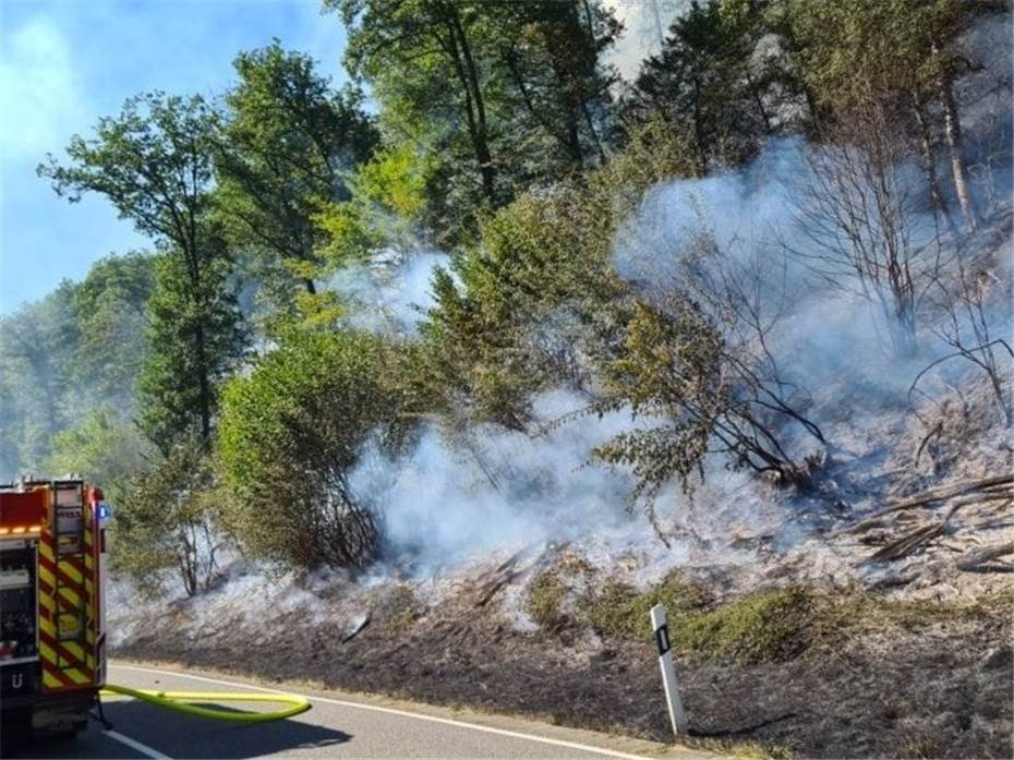 VG Adenau: Rund 10000 qm Wald standen in Flammen