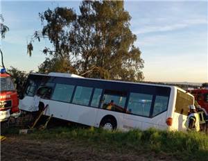 Bus prallt frontal gegen Baum: Fahrer wird hinterm Steuer eingeklemmt