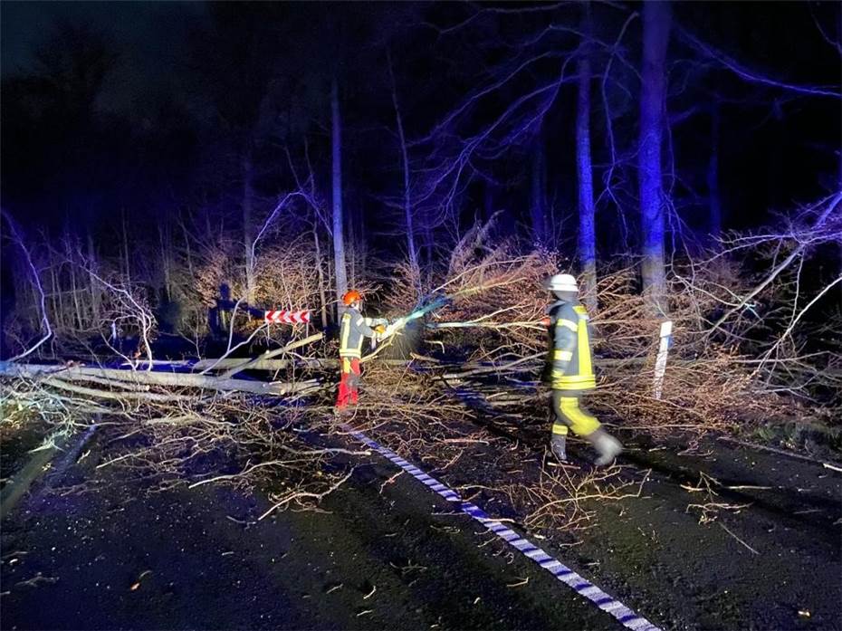 Bad Honnef: Umgestürzte Bäume halten Feuerwehr auf Trab 