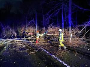 Bad Honnef: Umgestürzte Bäume halten Feuerwehr auf Trab 