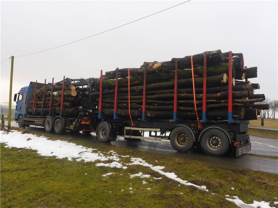 Polizei zieht überladenen Holztransporter aus dem Verkehr