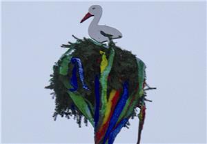 Ein Storch nahm das Nest-Angebot mit Freuden an...!