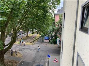 Koblenz: Kranker Baum stürzt auf leerstehendes Haus