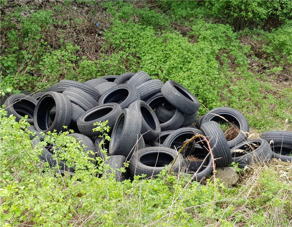 Alte Reifen wurden
in den Wald geworfen