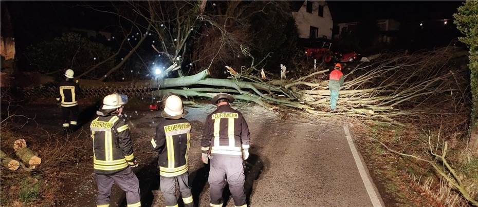 Sturm: Baum stürzt auf Carport