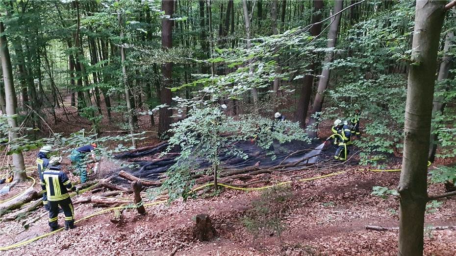 Waldbrand in Bonn: Aufwändiger Einsatz für Feuerwehr 