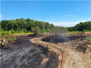 Westerwald: 2.000 Quadratmeter Gebüsch und Wiese brannten