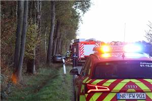 Auto kracht gegen Baum: Fahrer in Unfallwrack wiederbelebt