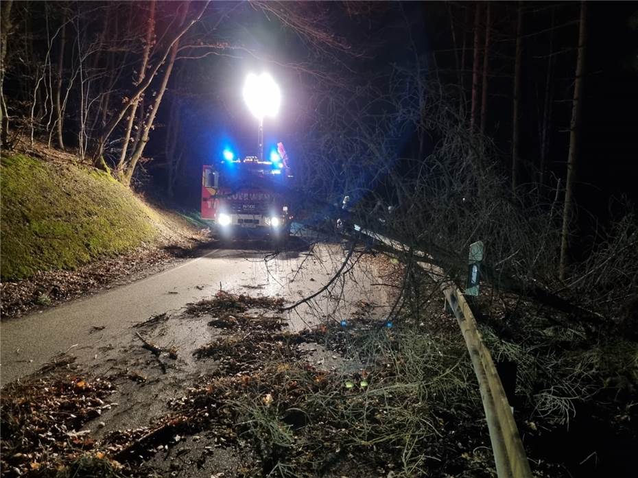 Sturm in Waldbreitbach: Sach-, aber keine Personenschäden 