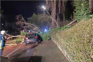 Baum auf parkendes Auto gefallen