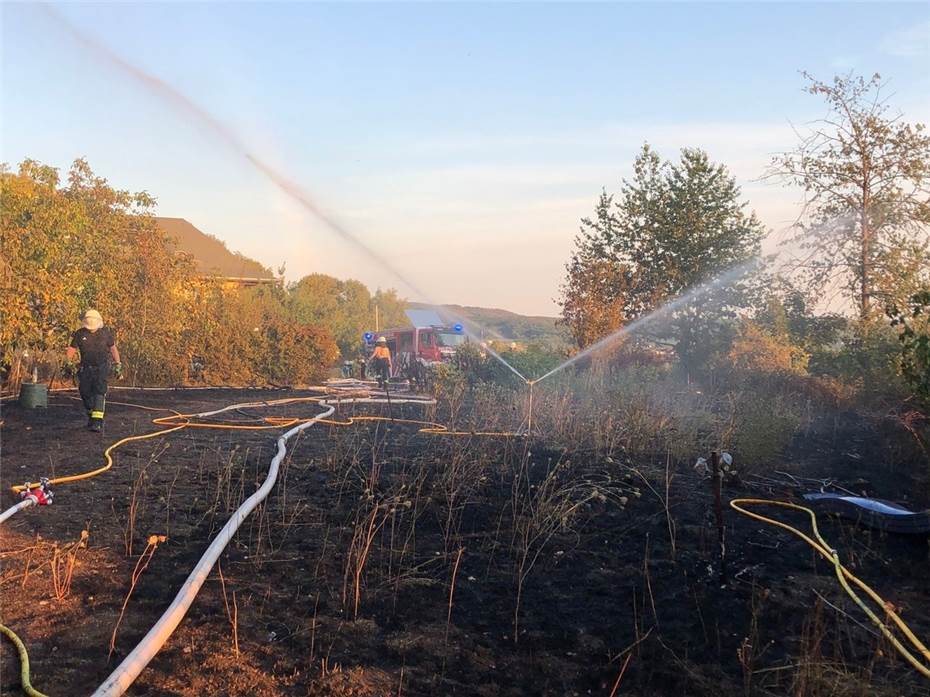 Brennender Holzschuppen mit Munition: Feuer entfacht größeren Waldbrand