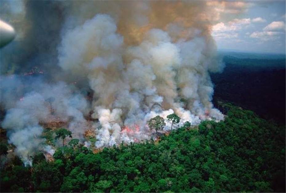 Wenn der Amazonas leidet, leidet die ganze Welt