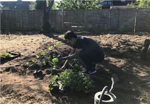 Gartenprojekt „Alte Schule“ gestartet