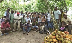Griesson - de Beukelaer überzeugt
sich vor Ort vom nachhaltigen Kakaoanbau