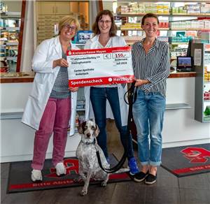 150 Euro für rumänische
Straßenhunde gespendet