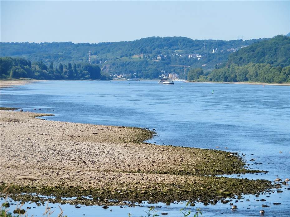 Sommerhitze: Wenig Wasser im Rhein