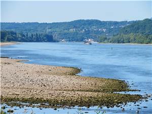Sommerhitze: Wenig Wasser im Rhein