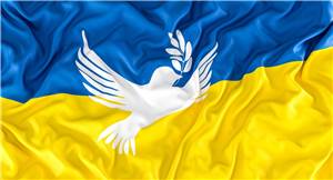 Mayen-Koblenz: Kreistag verabschiedet Resolution als Zeichen der Solidarität mit der Ukraine