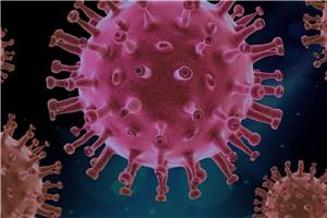 Sieben weitere Infektionen mit dem Coronavirus