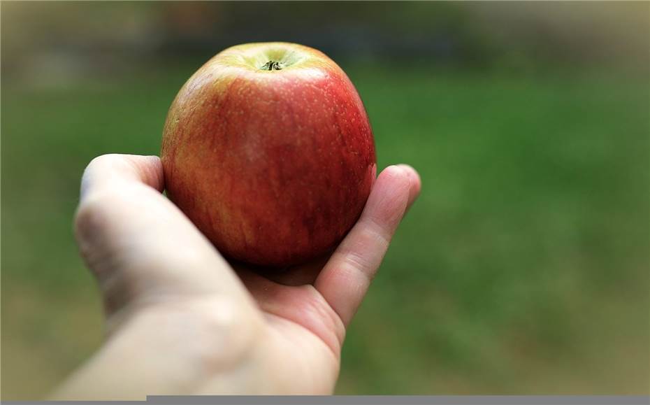 Vallendar: Frau von Jugendlichen mit Apfel attackiert