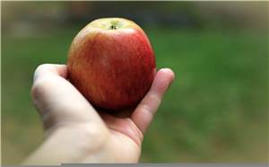 Vallendar: Frau von Jugendlichen mit Apfel attackiert