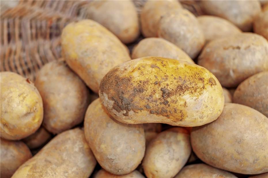 „Grober Unfug“: 28-Jähriger schmeißt Kartoffeln auf der Straße 