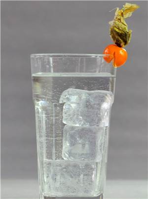 Durstlöscher Trinkwasser
„Trinkrezepte zum Selbermixen“