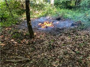 Wachtberg: Vegetationsbrände bei Berkum und Niederbachem 