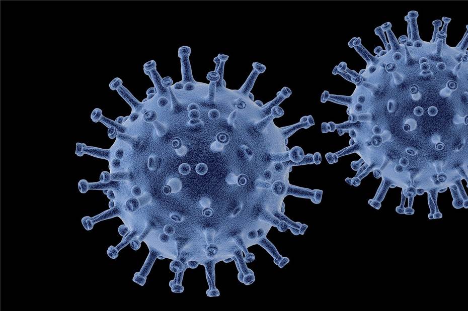 Coronavirus: 58 infizierte Personen im Kreis Ahrweiler