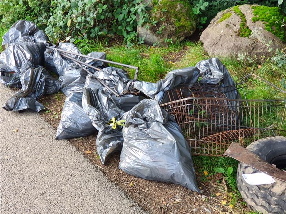 Bürger beseitigen Müll
beim „World Clean Up Day“