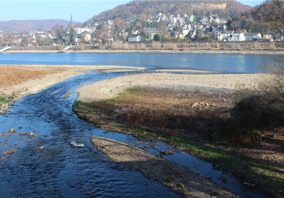 Einzigartige Flusslandschaft in Deutschland
