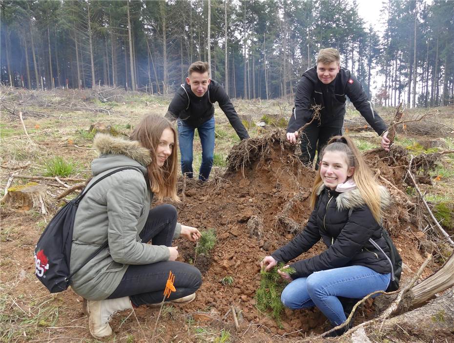 Schüler/Innen der Realschule Plus
Treis-Karden pflanzen neue Bäume