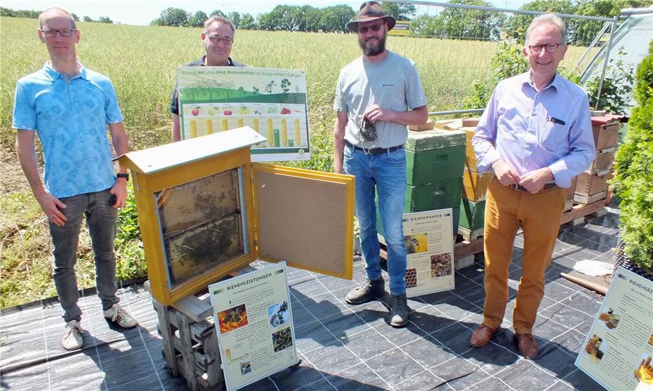 Bienen und Landwirtschaft
sichern die Nahrung
