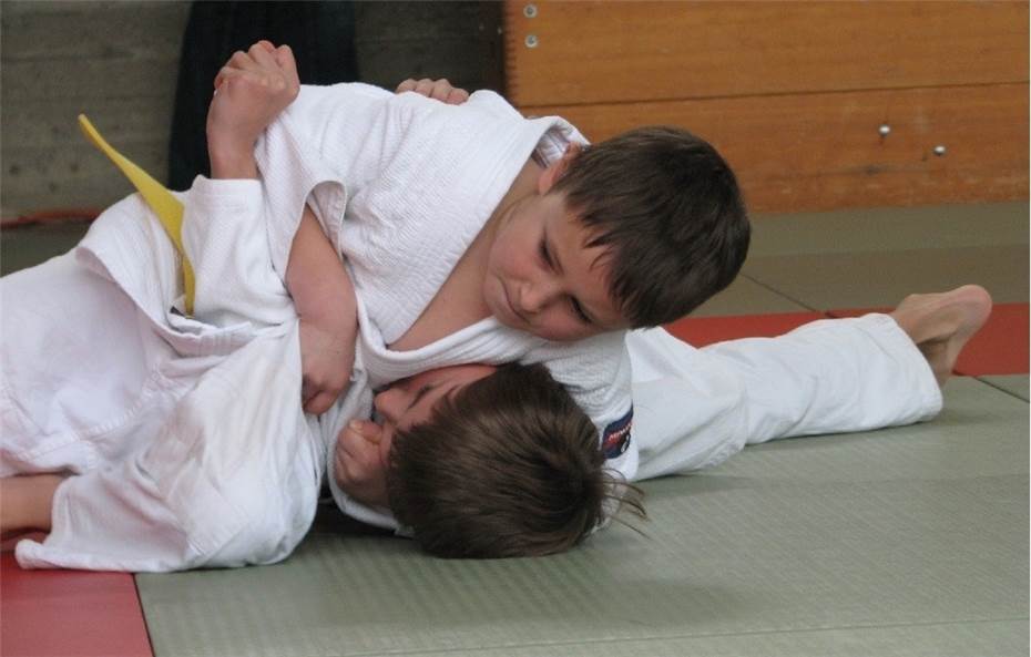 Judo-Anfängerkurs
für Kinder in Treis-Karden
